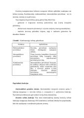 Transporto vieta logistikos sistemoje 17 puslapis