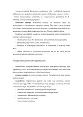 Transporto vieta logistikos sistemoje 18 puslapis