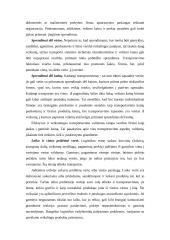 Transporto vieta logistikos sistemoje 3 puslapis