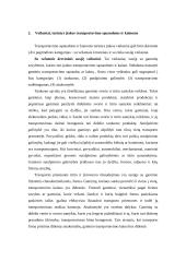 Transporto vieta logistikos sistemoje 4 puslapis