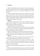 Transporto vieta logistikos sistemoje 6 puslapis