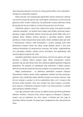 Transporto vieta logistikos sistemoje 7 puslapis