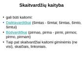 Apie skaitvardį 13 puslapis