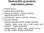 Apie skaitvardį 19 puslapis