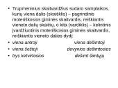 Apie skaitvardį 8 puslapis