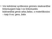 Apie skaitvardį 10 puslapis