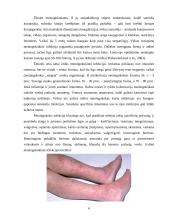 Meningokokine infekcija sergančiųjų vaikų slauga 6 puslapis