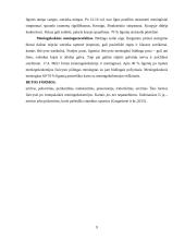 Meningokokine infekcija sergančiųjų vaikų slauga 9 puslapis