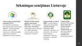 Sėkmingo senėjimo strategijos 6 puslapis