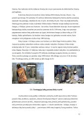 Kas yra „trečiojo pasaulio šalys“? 11 puslapis