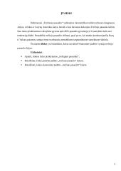 Kas yra „trečiojo pasaulio šalys“? 2 puslapis