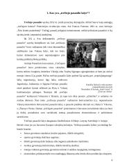 Kas yra „trečiojo pasaulio šalys“? 3 puslapis