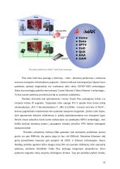 Triple Play paslaugos dedamųjų analizė 11 puslapis