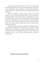 Triple Play paslaugos dedamųjų analizė 13 puslapis