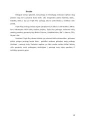 Triple Play paslaugos dedamųjų analizė 18 puslapis