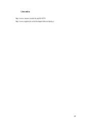 Triple Play paslaugos dedamųjų analizė 19 puslapis