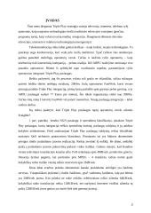 Triple Play paslaugos dedamųjų analizė 3 puslapis