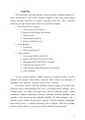 Triple Play paslaugos dedamųjų analizė 4 puslapis