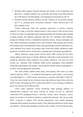 Triple Play paslaugos dedamųjų analizė 9 puslapis