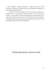 Triple Play paslaugos dedamųjų analizė 10 puslapis