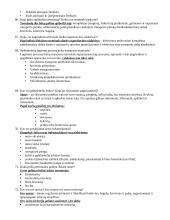 Krovinių ir transporto sistemų valdymo egzamino klausimai 10 puslapis