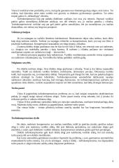 Turbokompresorius 4 puslapis