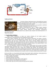 Turbokompresorius 5 puslapis