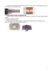 Turbokompresorius 7 puslapis