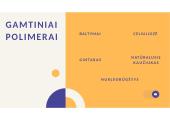 Polimerai skaidrės 6 puslapis