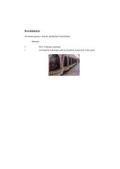 Turizmas Lietuvoje 4 puslapis