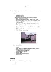 Turizmas Lietuvoje 5 puslapis