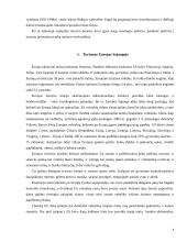 Turizmo verslas Europos Sąjungoje, Lietuvos narystės Europos Sąjungoje poveikis turizmui Lietuvoje 2 puslapis