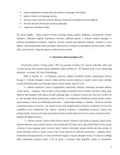 Turizmo verslas Europos Sąjungoje, Lietuvos narystės Europos Sąjungoje poveikis turizmui Lietuvoje 7 puslapis