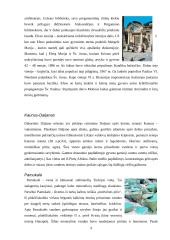 Turkijos geografija ir gyventojai 9 puslapis