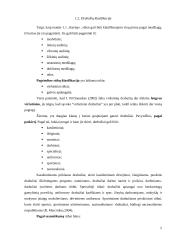 Gatavi drabužiai: klasifikavimas, asortimentas 5 puslapis