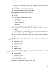 Gatavi drabužiai: klasifikavimas, asortimentas 6 puslapis