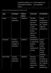 Kvėpavimo sistema konspektas 3 puslapis