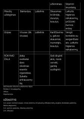 Kvėpavimo sistema konspektas 4 puslapis