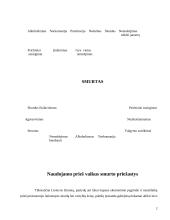 Ugdymas ir socializacija 2 puslapis