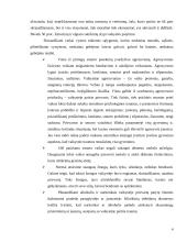 Ugdymas ir socializacija 4 puslapis