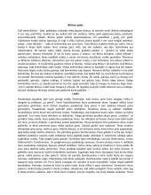 Biliūno novelių aprašymai 2 puslapis