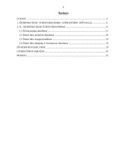 Ūkininko "N" ūkio turto draudimas 2 puslapis