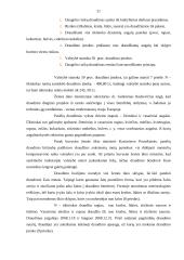 Ūkininko "N" ūkio turto draudimas 20 puslapis