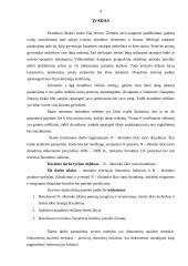 Ūkininko "N" ūkio turto draudimas 3 puslapis