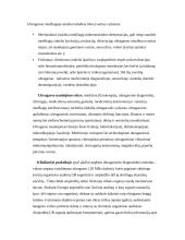 Garsas ir ultragarsas 3 puslapis