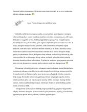 Garsas ir ultragarsas 5 puslapis