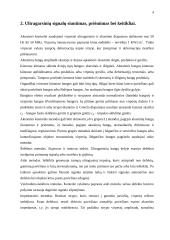 Ultragarsinė vizualizacija: skaitmeninių signalų apdorojimo metodų principai ir taikymas 4 puslapis