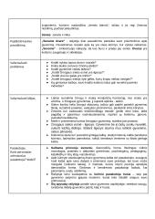 Apysaka - Šatrijos Ragana ,,Sename dvare“  2 puslapis