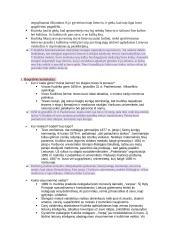 Literatūra tarnauja gyvenimui. Vincas Kudirka 2 puslapis