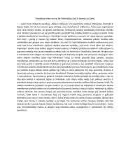 Meniškos sielos yra ne tik Mykoliukas, bet ir Severja su Geiše